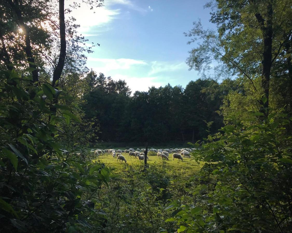 Domki Nad Pilica Krzetow Esterno foto
