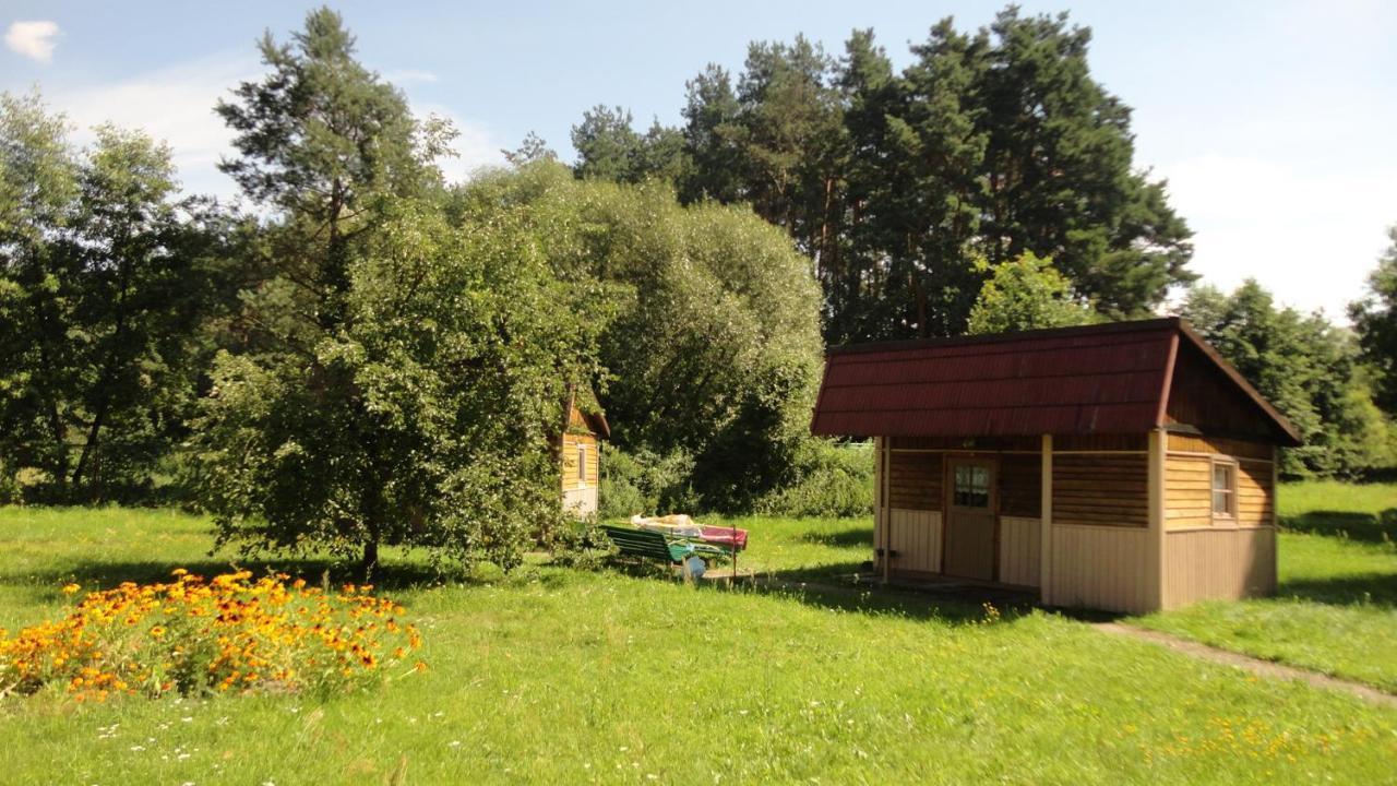 Domki Nad Pilica Krzetow Esterno foto
