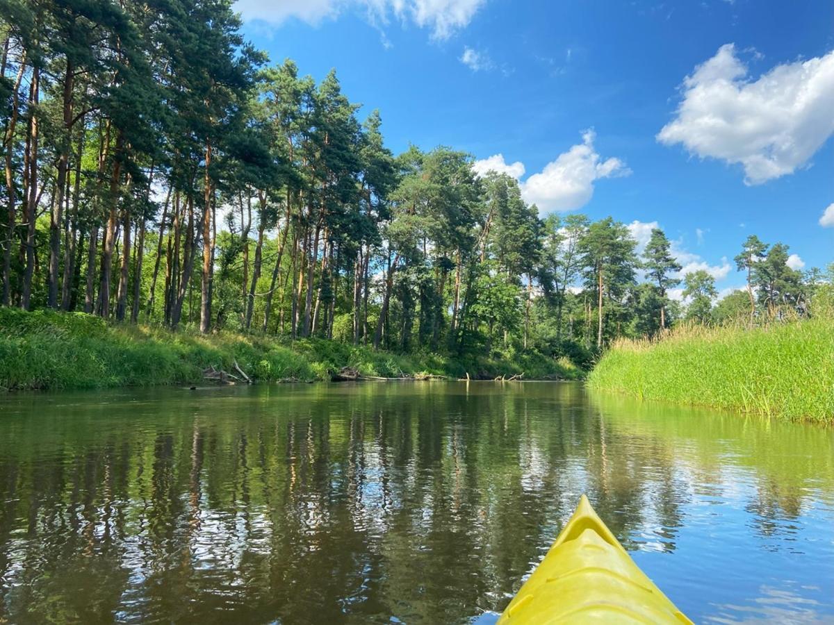 Domki Nad Pilica Krzetow Esterno foto